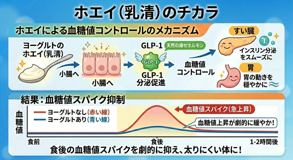 ヨーグルトのホエイが血糖値を正常にしてくれることを表した図解