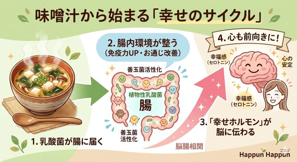 味噌の乳酸菌が腸内環境を整えメンタルも安定する仕組みの図解