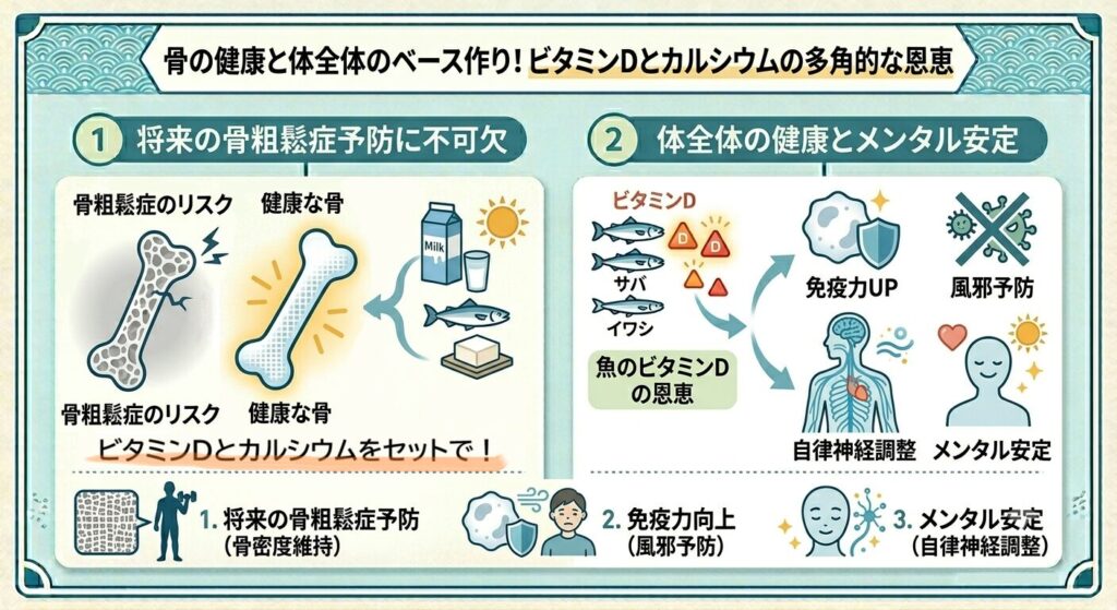 ビタミンDとカルシウムをセットで摂ることが大事で、ビタミンDが免疫力を上げ、自律神経も整えるという図解