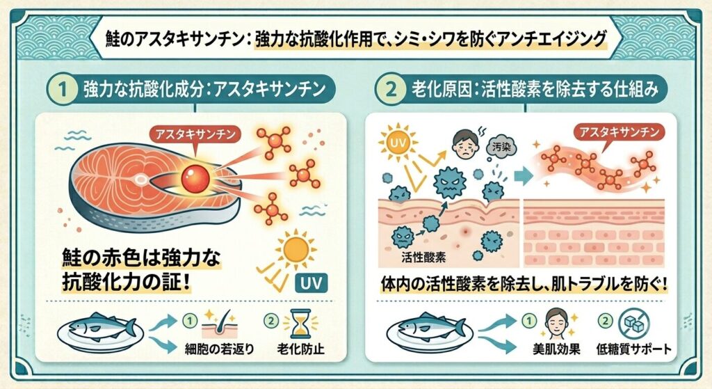 アスタキサンチンは体内の活性酸素を除去し、シミやシワを防ぐという図解