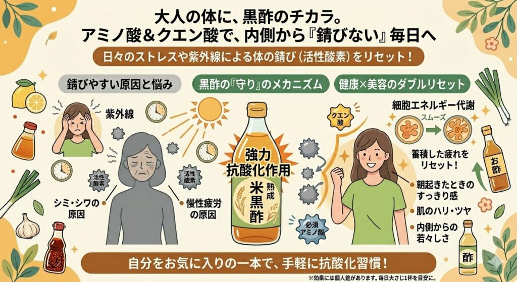 黒酢に含まれるアミノ酸とクエン酸が、紫外線やストレスによる活性酸素（体の錆び）を除去する「強力抗酸化作用」のメカニズムを解説した図。細胞エネルギー代謝をスムーズにすることで、蓄積した疲れをリセットし、肌のハリ・ツヤや内側からの若々しさを保つ効果を説明している。